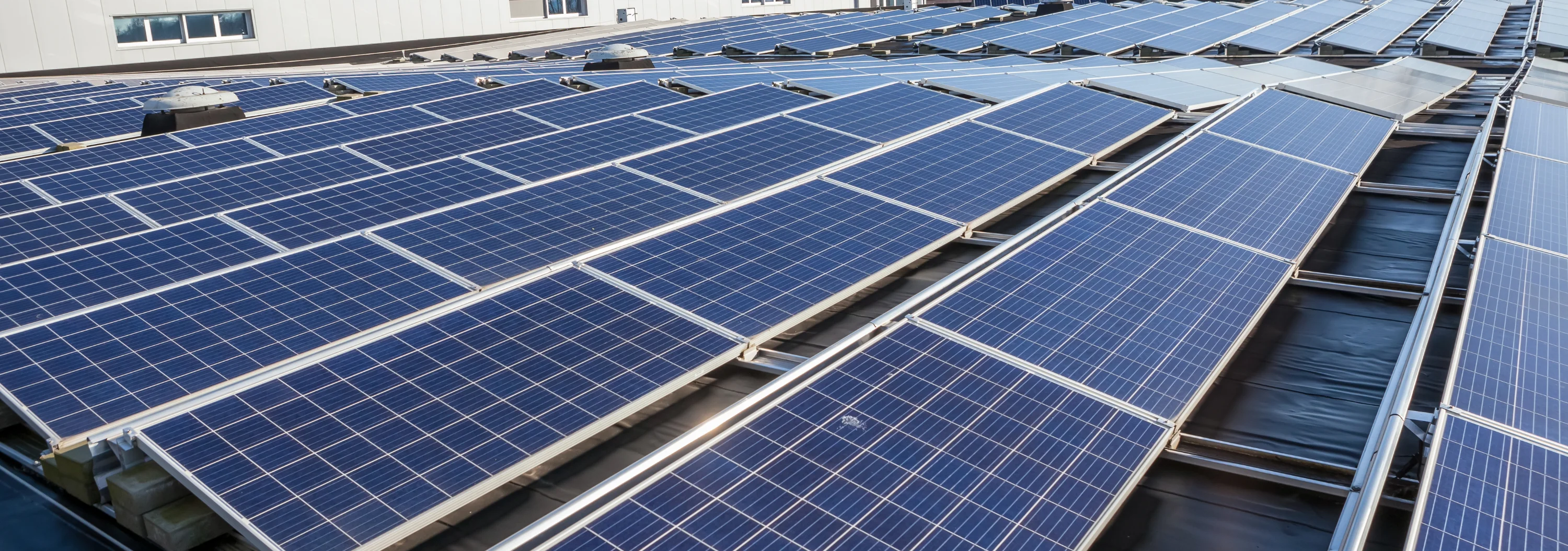 Beneficios paneles solares Guadalajara